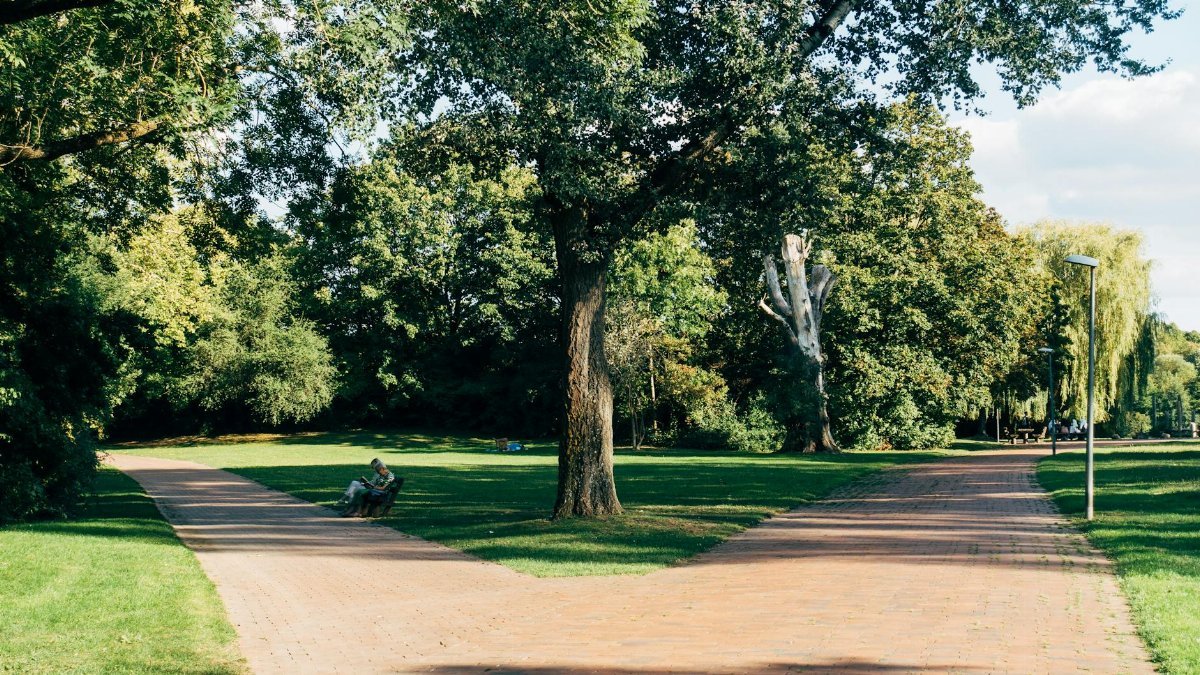 A peaceful scene of a split brick pathway surrounded by lush green trees in a sunny park.