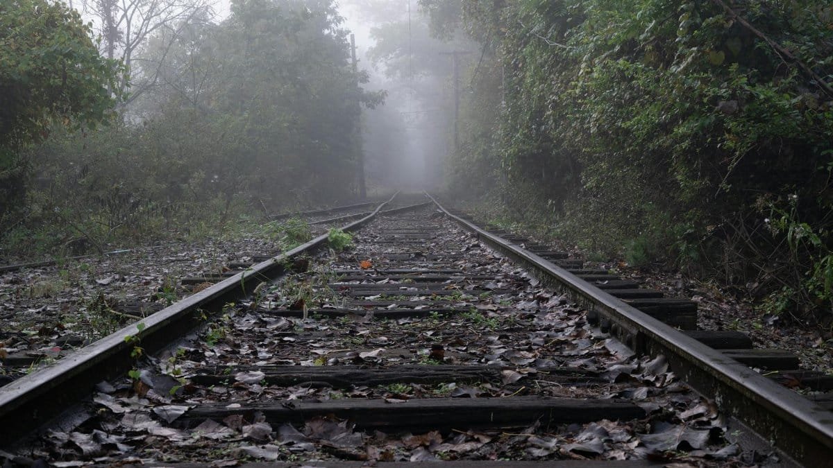 Atmospheric view of misty railway tracks through a foggy woodland setting, surrounded by lush greenery.
