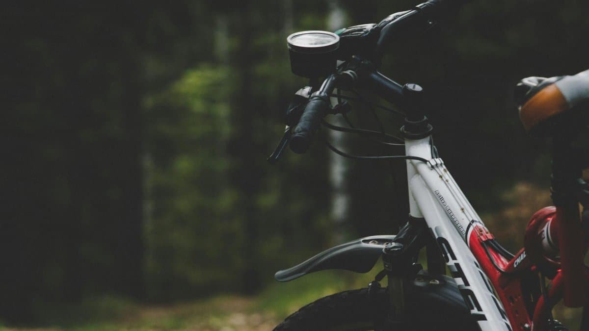 Close-up of a mountain bike on a forest trail, capturing outdoor adventure themes.