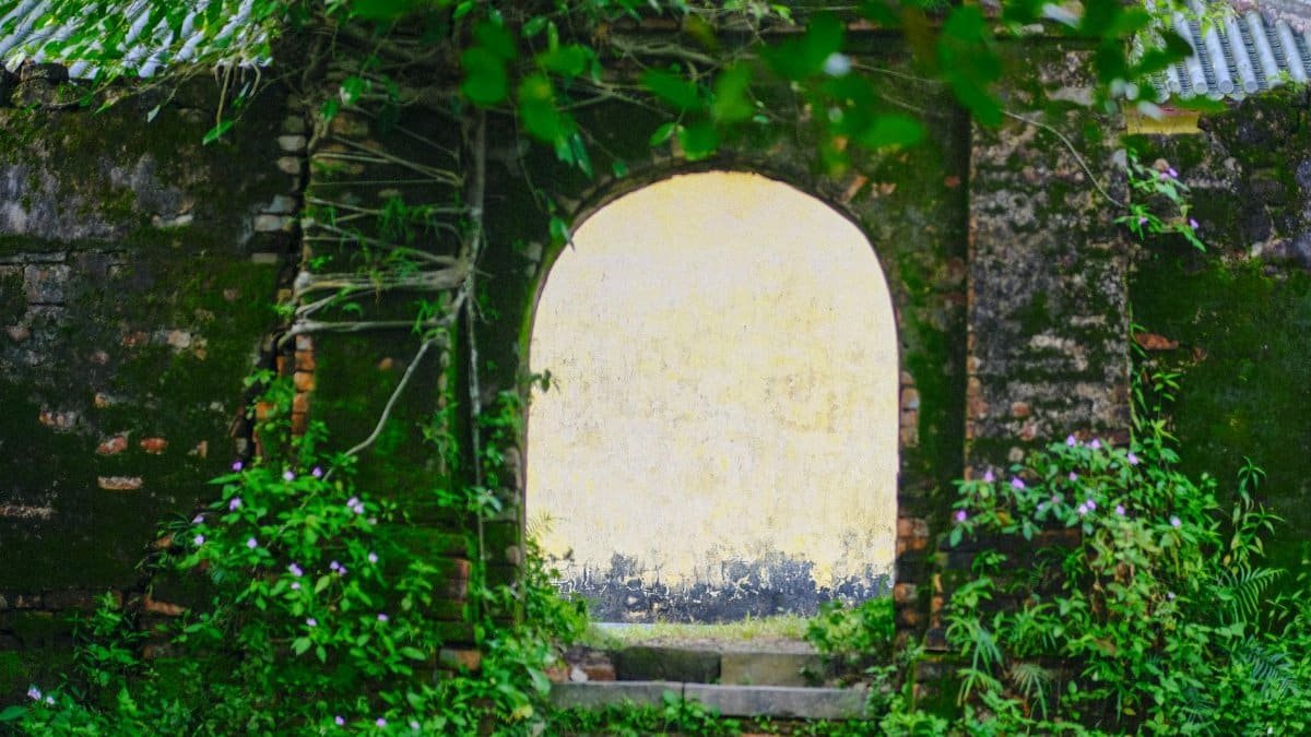 A rustic brick archway adorned with lush vegetation in Hue, Vietnam, evoking a serene and historic ambiance.