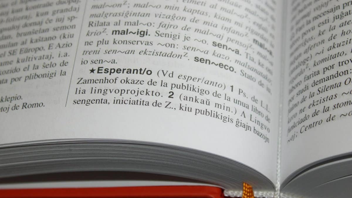 Close-up of an open book featuring text and definitions in Esperanto language.