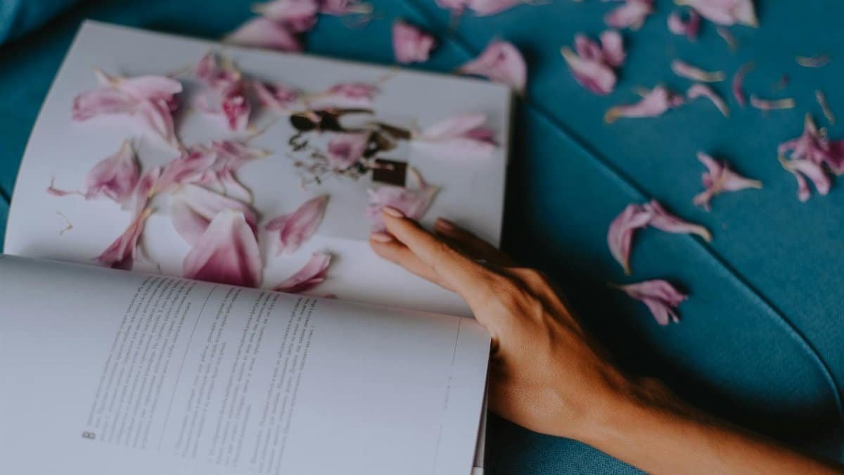 A hand holding an open book with pink petals scattered on the pages and fabric.