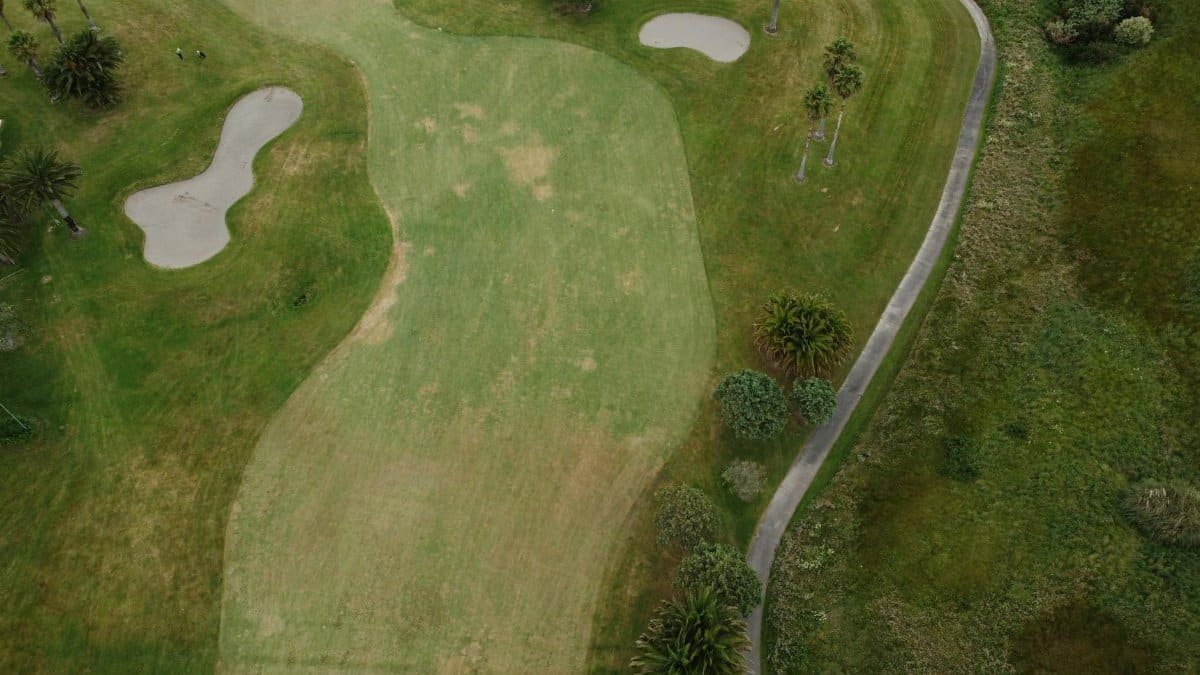 Aerial shot of lush greenery on a golf course in Auckland, highlighting fairways and sand traps.