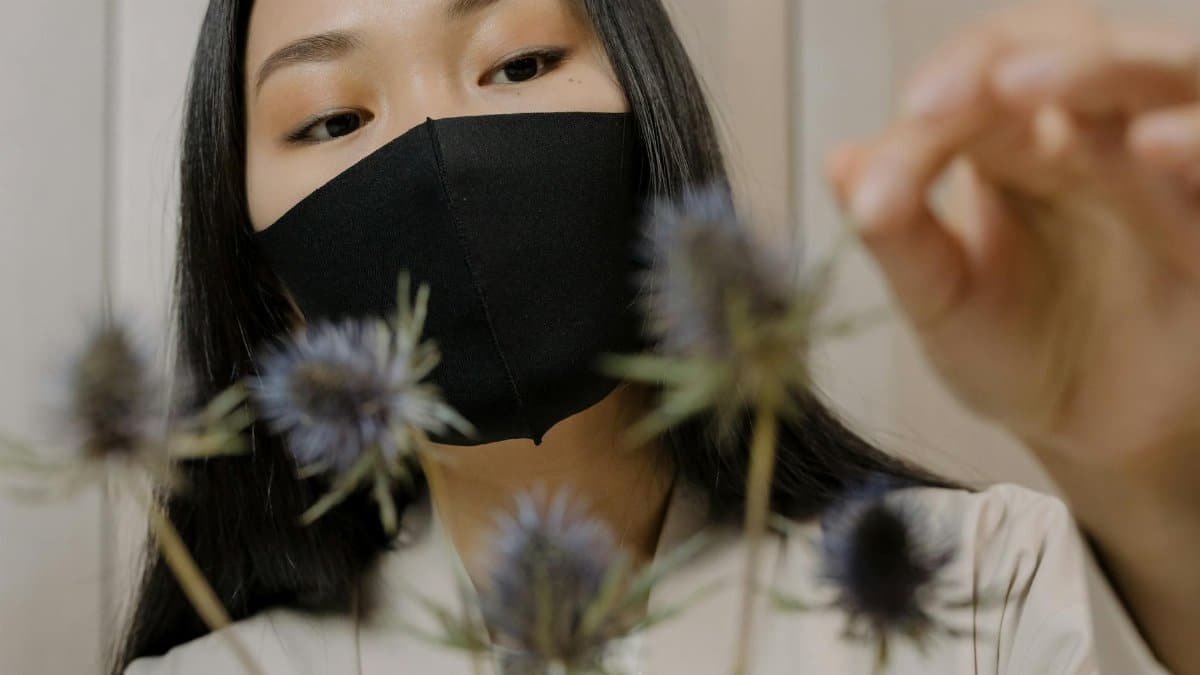 Close-up of a woman wearing a black face mask, carefully examining eryngos flowers indoors.