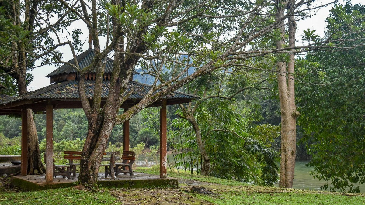 Peaceful gazebo by the riverside surrounded by lush greenery and trees.