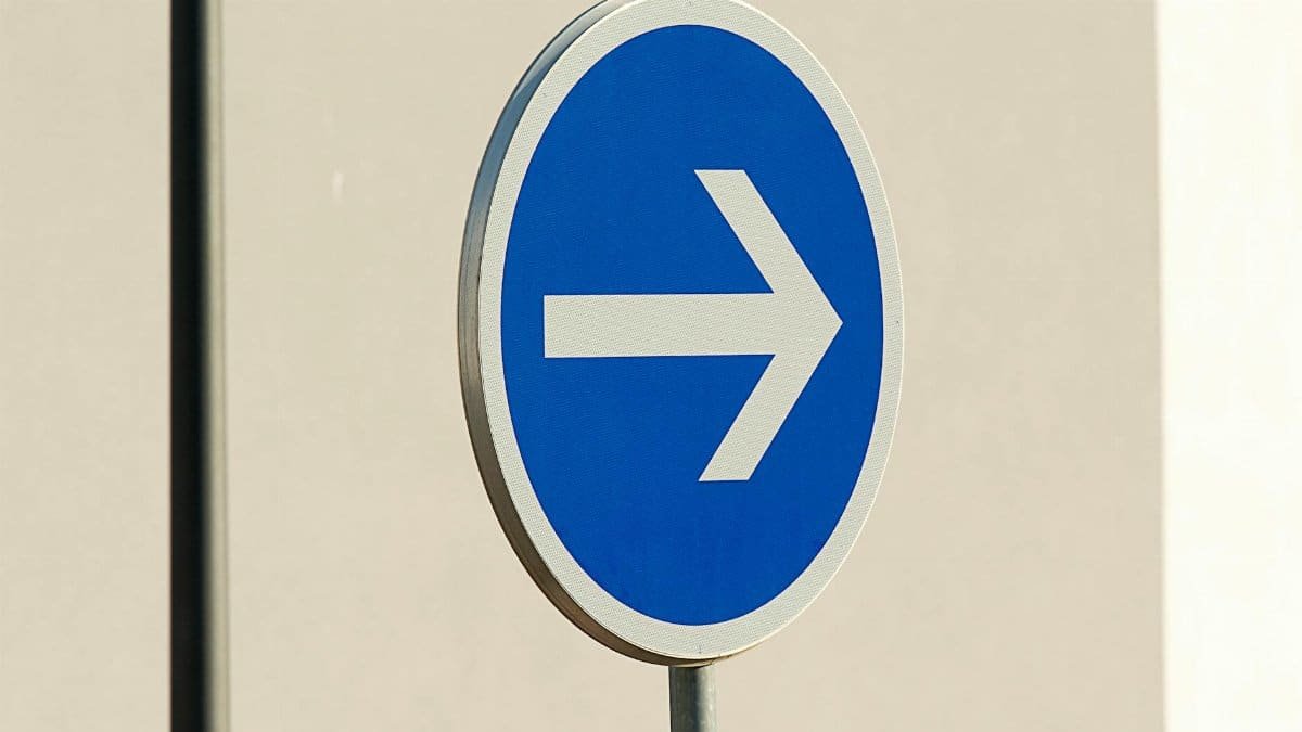 Close-up of a blue directional arrow traffic sign against a neutral background.