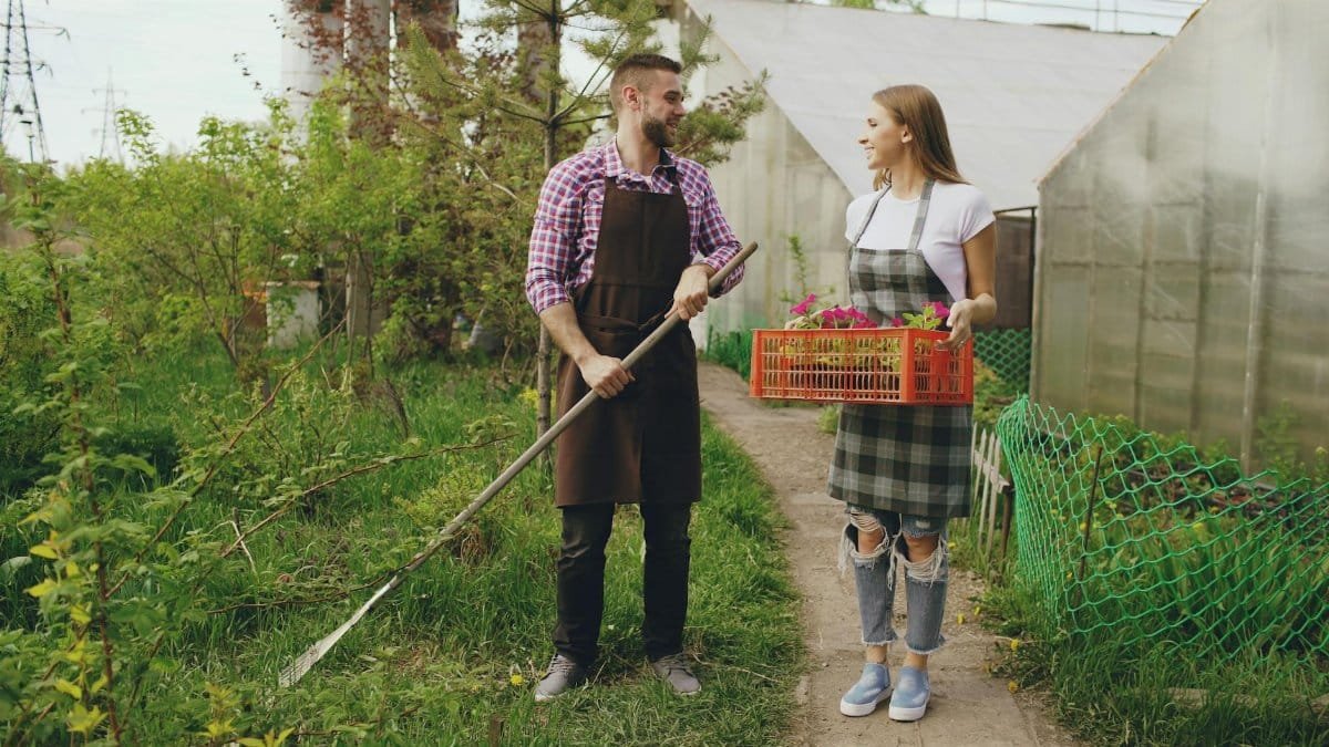 Two young gardeners sharing tasks outside a greenhouse, tending plants.