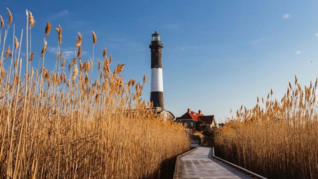 Beautiful autumn view of Fire Island Lighthouse, surrounded by tall reeds under a clear blue sky.