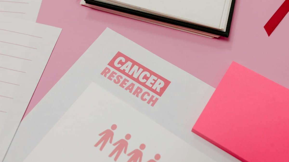 Assorted cancer research materials laid on a pink desk. Professional workspace.