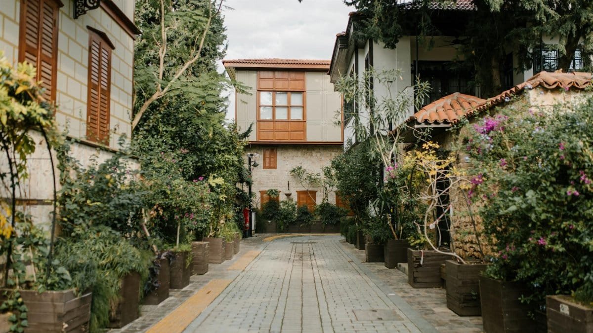 Picturesque alley in a residential area lined with lush greenery and quaint houses.