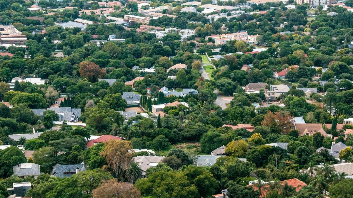 Aerial perspective of a verdant suburban area filled with trees and houses.