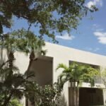 A modern university building in Coral Gables, Florida, surrounded by lush palm trees, on a bright sunny day.