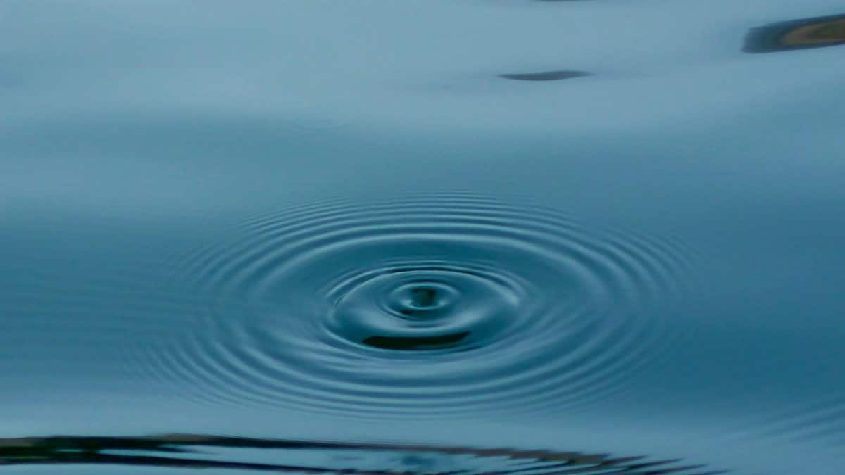 A soothing image of a water ripple creating concentric circles, capturing tranquility.
