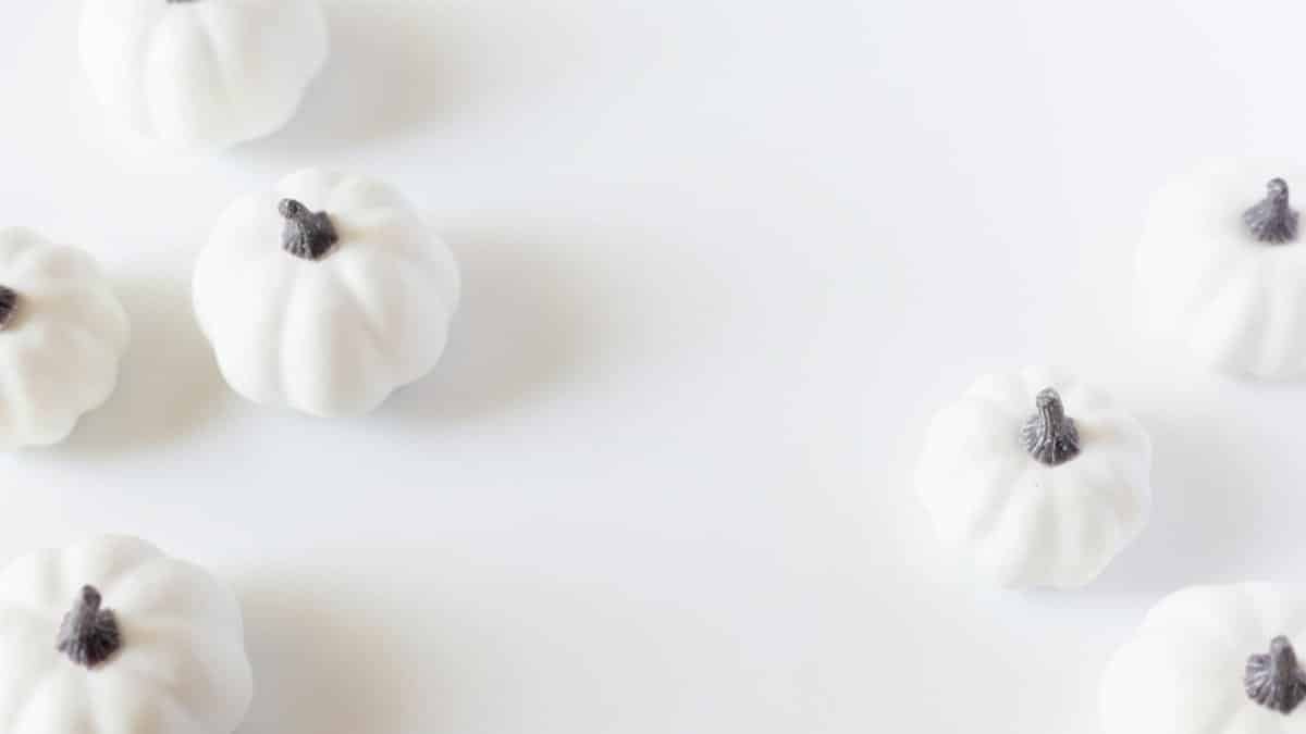 Elegant display of white pumpkins on a soft white background, perfect for fall-themed designs.