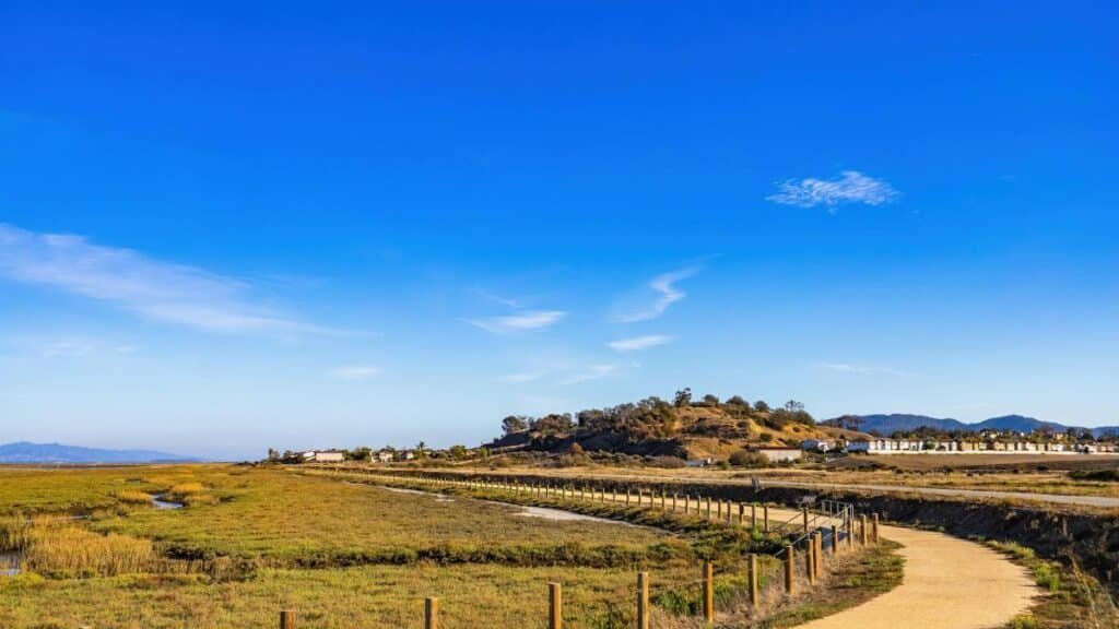 Peaceful rural landscape with dirt path and clear blue sky, perfect for relaxation.