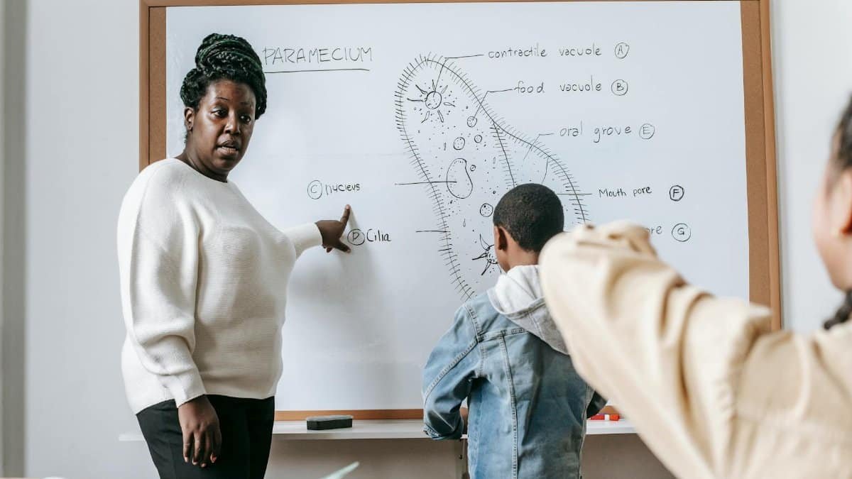 African American female teacher pointing on whiteboard while explaining lecture to classmates during lesson
