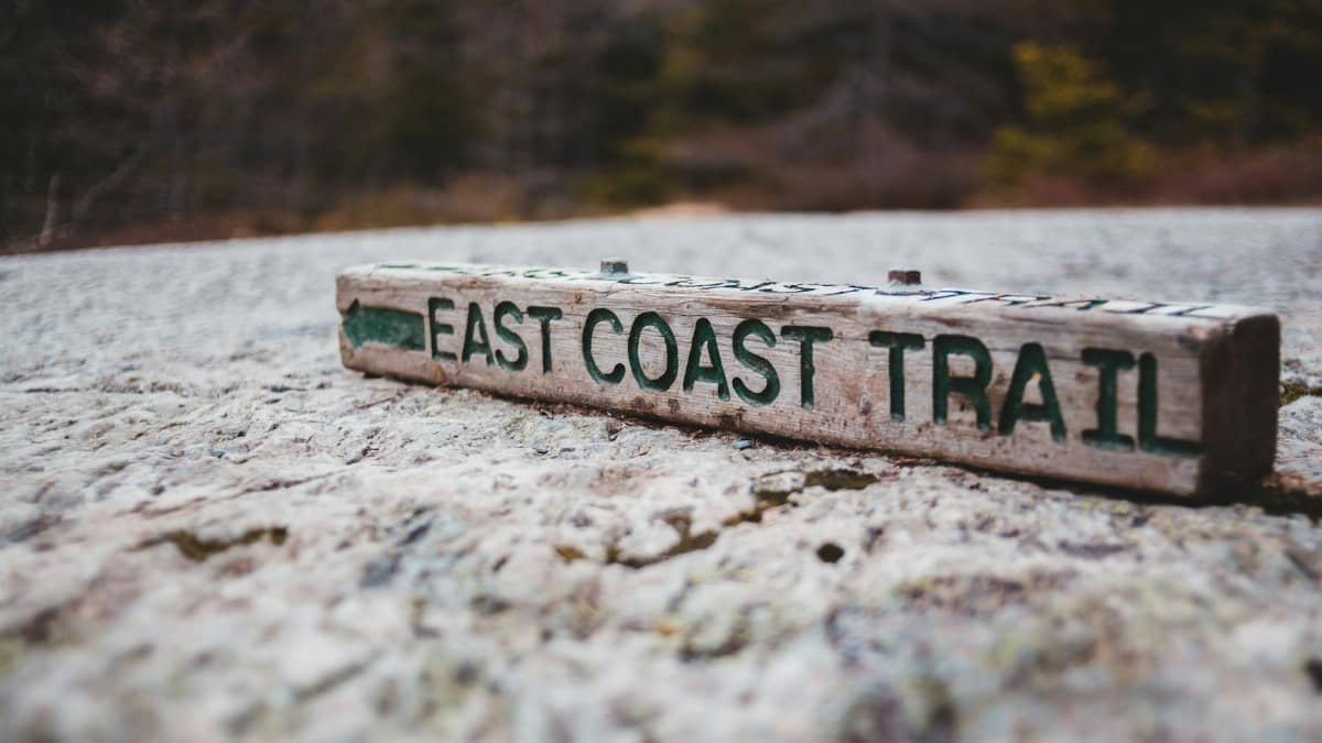 Ground level of wooden direction sign with east coast trail inscription placed on road near forest