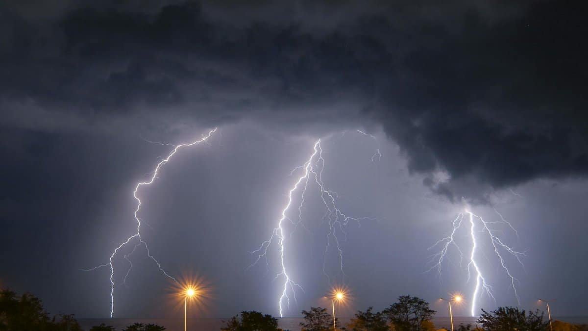 Stunning capture of multiple lightning strikes illuminating the night sky in Fındıklı, Rize, Türkiye.