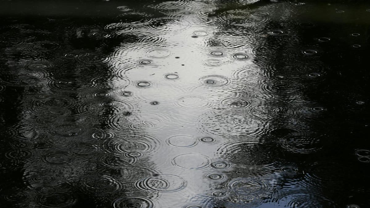 Raindrops creating intricate ripples on a water surface, displaying serene nature patterns.