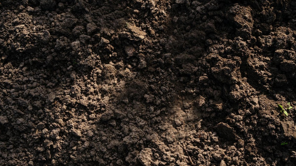Detailed view of freshly tilled soil, perfect for planting in agriculture and gardening.