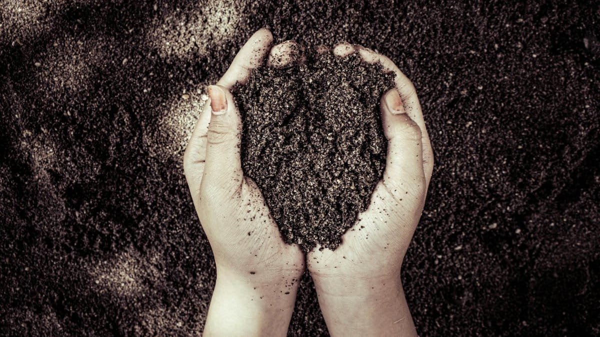 Two hands cupping dark soil, symbolizing nature and growth.