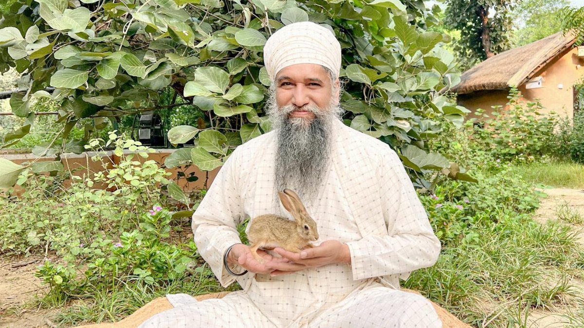 Portrait of a senior man with a beard in traditional attire holding a rabbit outdoors in India.