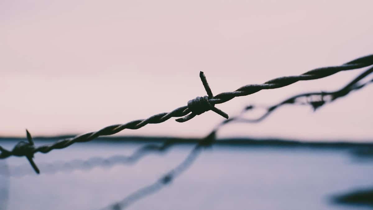Close-up of barbed wire silhouetted against a pastel sunset sky, evoking themes of boundaries and freedom.