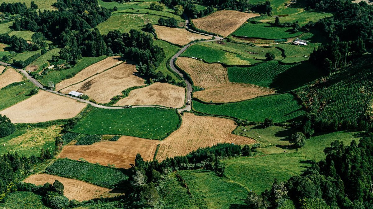 Stunning aerial view of diverse agricultural fields with green and brown patches, illustrating rural land patterns.