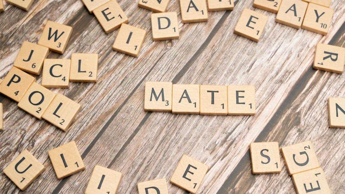 Arrangement of wooden letter tiles spelling 'MATE' on a rustic wooden surface.