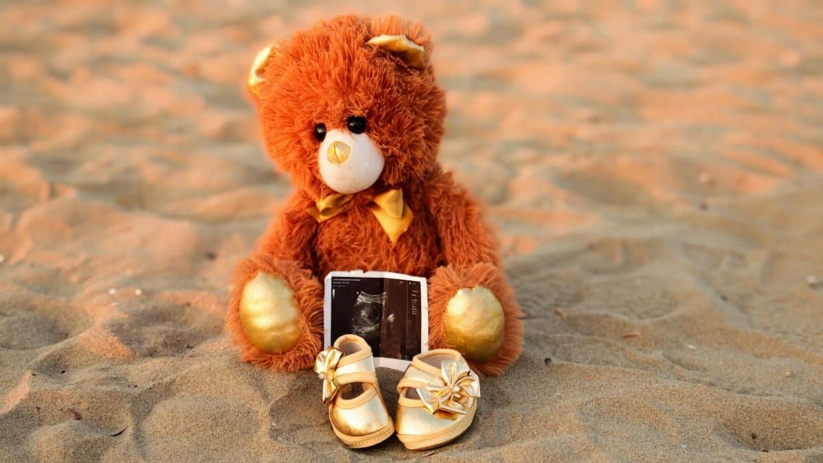 Teddy bear holds ultrasound photo and baby shoes on a sandy beach, symbolizing pregnancy announcement.