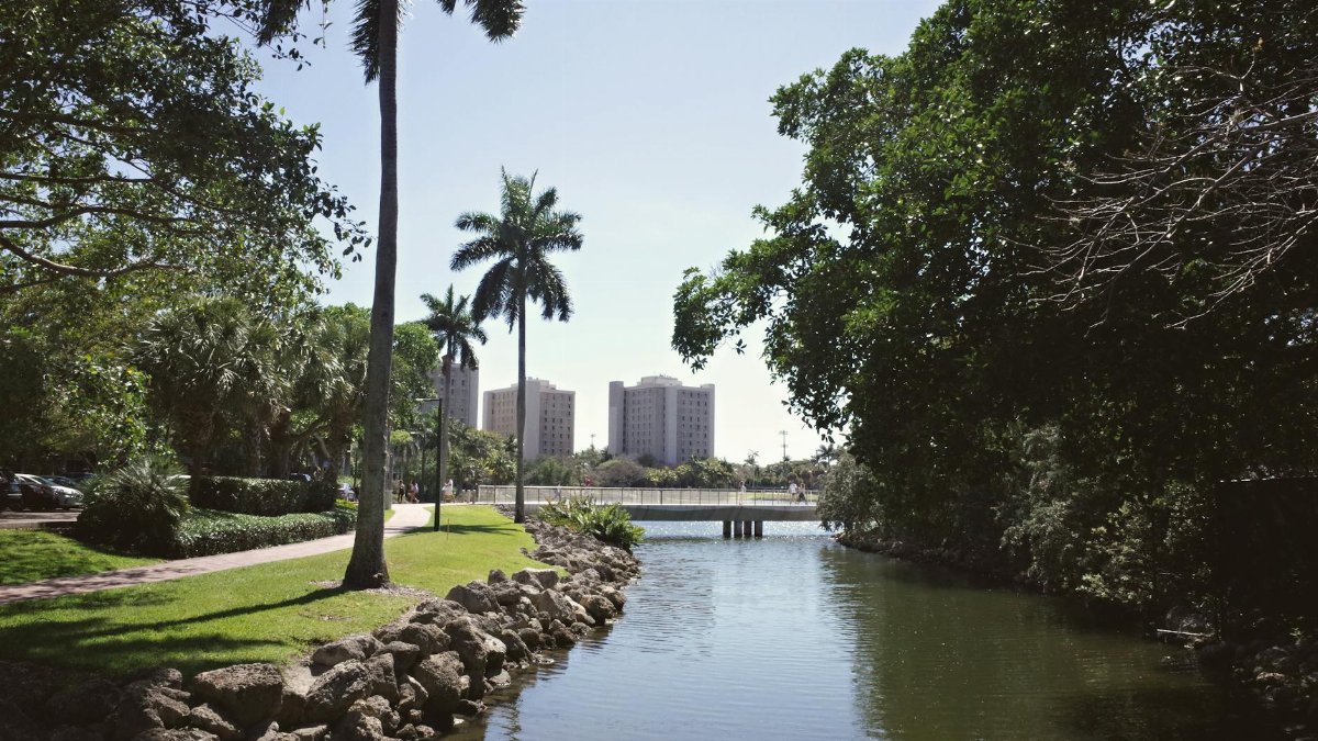 Tranquil university campus view with palm trees and water in Coral Gables, Florida.