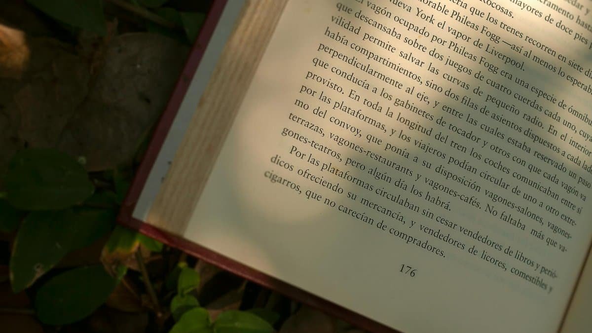 An open book lies on a leafy ground with sunlight illuminating the printed text.