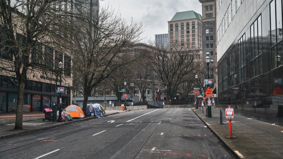 A city street with tents showing urban homelessness beneath bare trees on cloudy day.