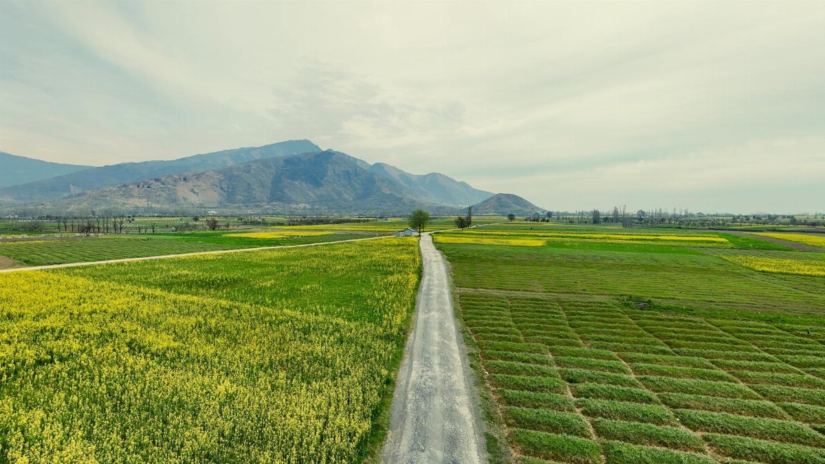 Expansive green fields stretch to the mountains under a bright sky, capturing rural tranquility.
