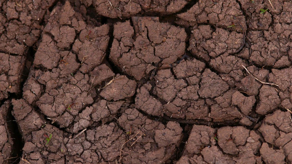 Close-up of a dry cracked earth texture, showcasing drought impact.