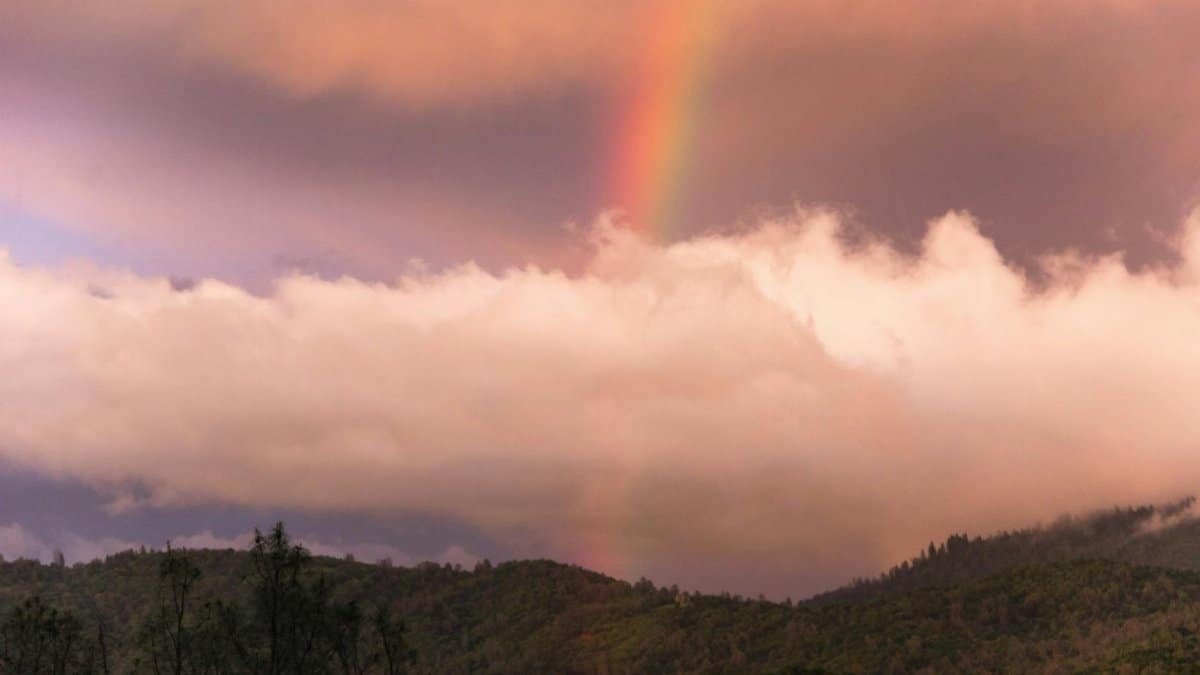 A beautiful rainbow arcs over the lush green mountains of Oroville, California at sunrise.