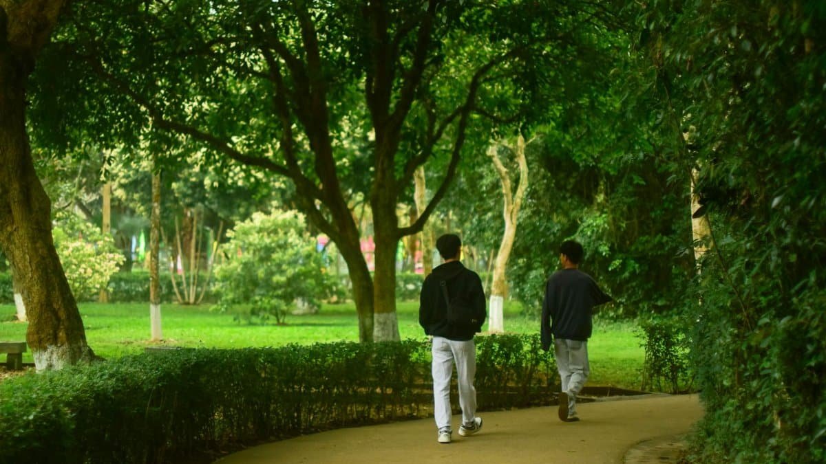 Two men leisurely walk down a tree-lined pathway in a lush green park.