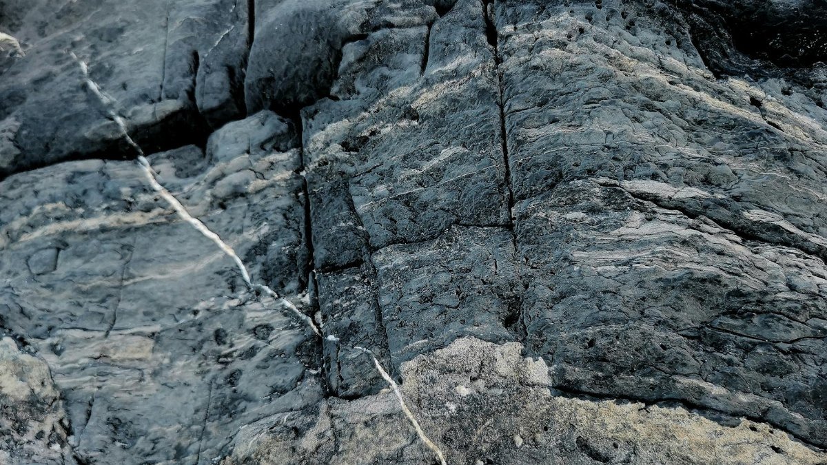 Detailed view of rough gray rock surface highlighting geological formations.