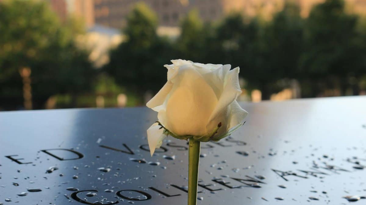 A single white rose placed on the 9/11 Memorial in New York City, evoking remembrance and tribute.