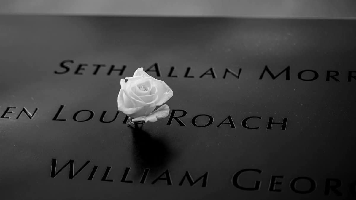 A white rose placed on the 9/11 Memorial in New York City symbolizing love and remembrance.