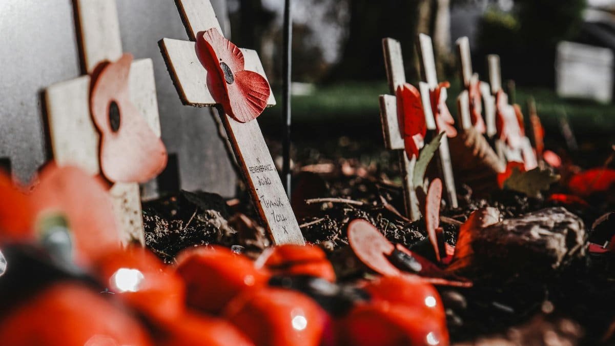 Symbolic crosses with red poppies in a cemetery signify remembrance and honor for fallen soldiers.