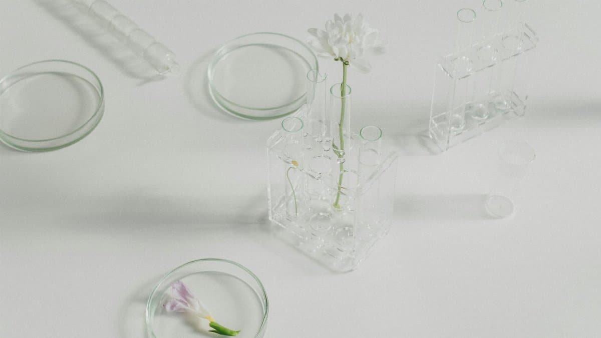 Arrangement of glass flasks and flowers on a white surface, blending science and nature.