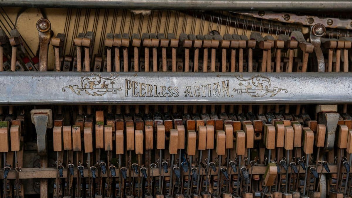 Detailed view of vintage piano strings and hammers, showcasing antique mechanics.