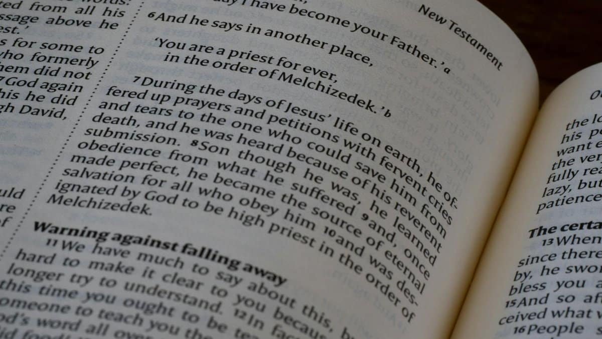 Detailed close-up of a Bible page from the New Testament highlighting scripture and themes of Christianity.