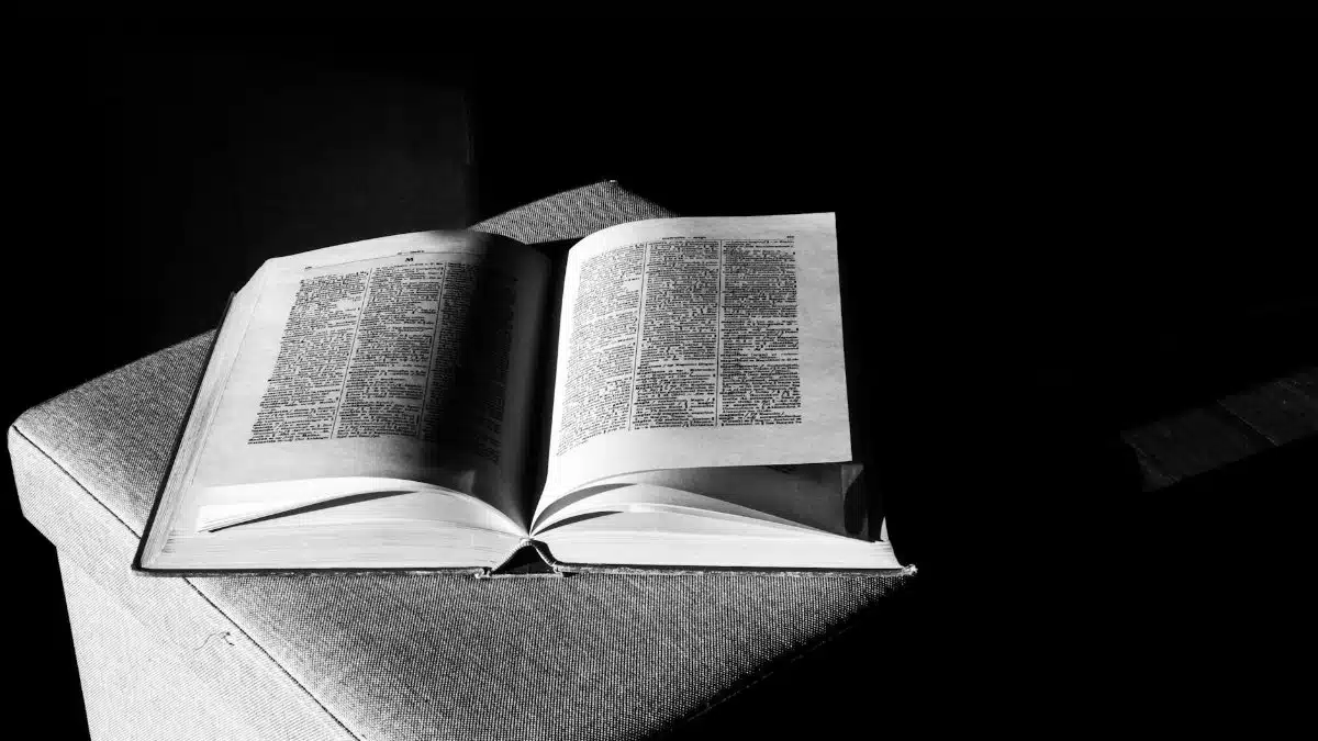 Monochrome photo of an open book on a chair, highlighting shadows and textures.