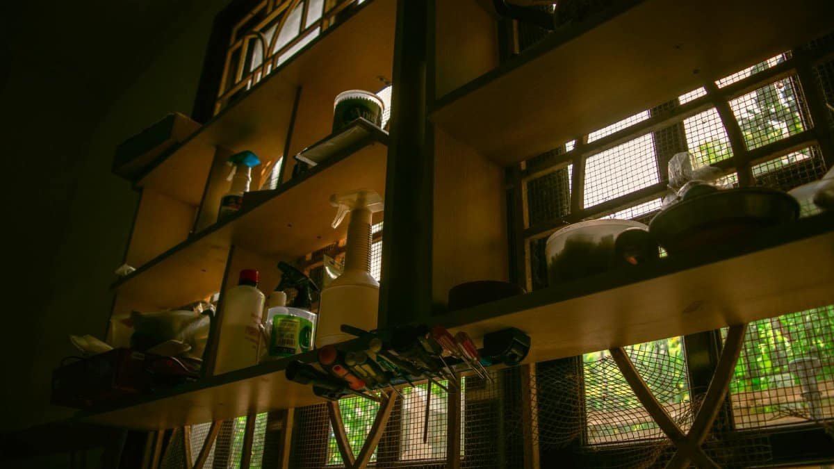 Rustic indoor kitchen shelves filled with cleaning supplies and utensils by a window.