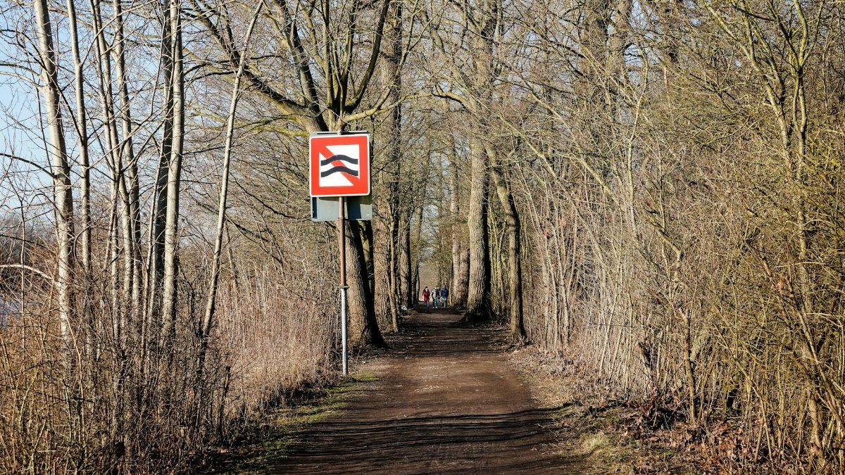 Enjoy a serene winter walk along a tree-lined path in Geesthacht, Germany.