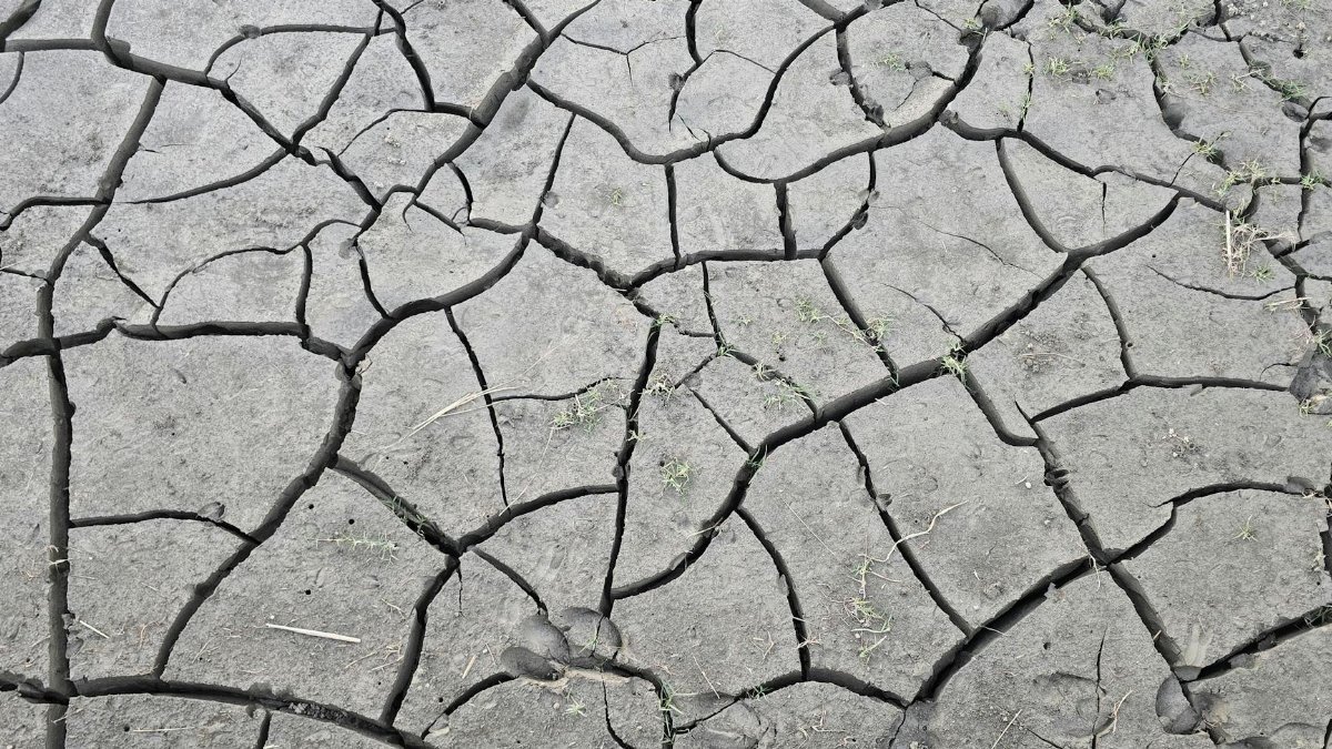 A detailed view of cracked, dry earth illustrating drought and climate change effects.