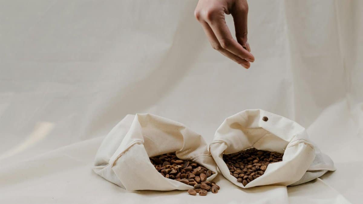 Minimalist image of coffee beans in canvas bags with a hand showcasing sustainability.