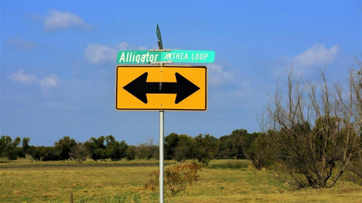 A rural Texas landscape featuring a directional road sign with clear blue skies.